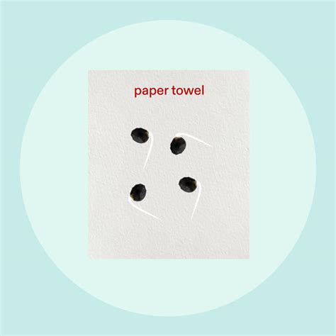 When to Give up on Seed Germination-VIVOSUN 