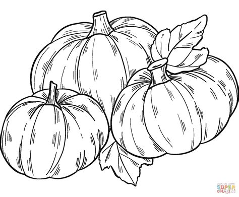 Pumpkin Patch coloring page | Free Printable Coloring Pages