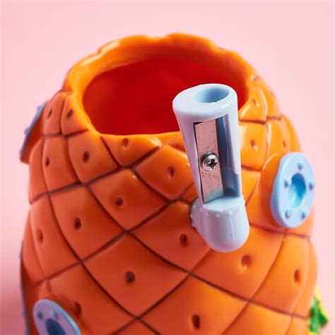 The Bikini Bottom Box Winter Msa