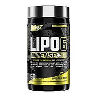 Lipo 6 Intense | Сравнить цены и купить на Prom.ua