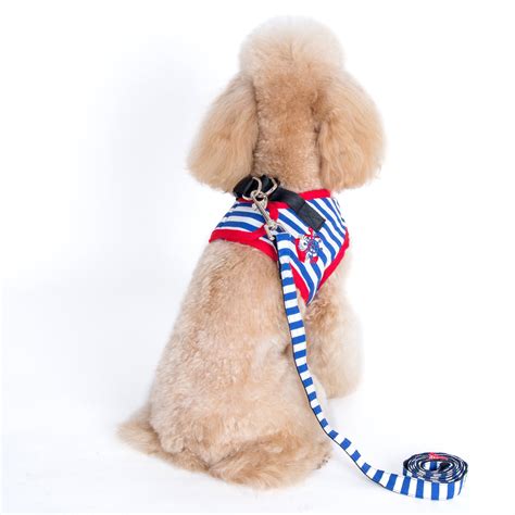 The 7 Best Harnesses for Small Dogs: Your Complete Guide | The Dog People by Rover.com