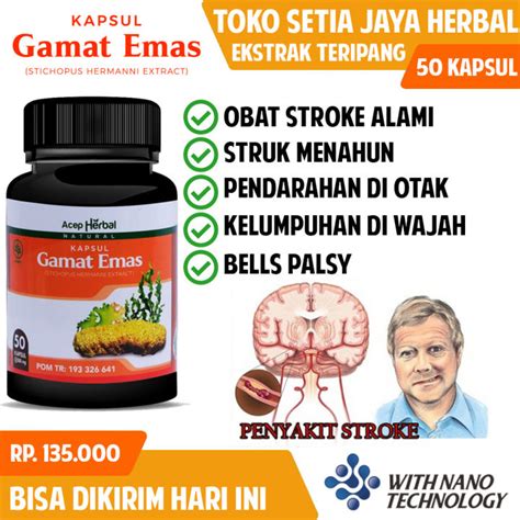 Obat Stroke Herbal Lumpuh Susah Bicara Penyumbatan Otak Saraf Setruk