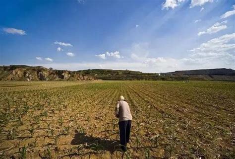 明年咱農民將要吃到這幾個「苦頭」，農民朋友需早作打算！ 每日頭條