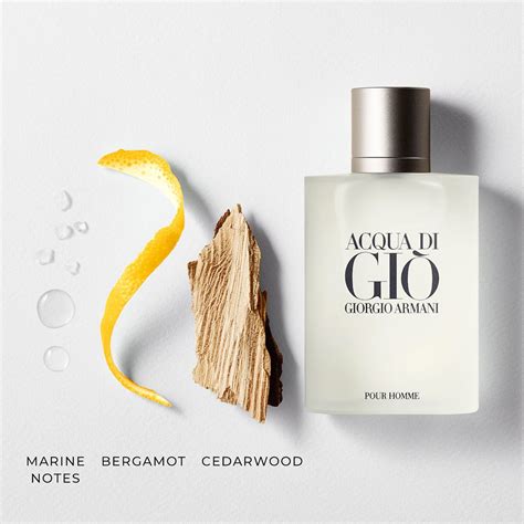 N C Hoa Giorgio Armani Acqua Di Gio Pour Homme Namperfume