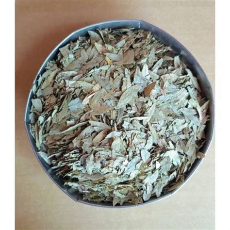 Dried Green Senna Leaves Packaging Type Loose Grade A Grade At Rs