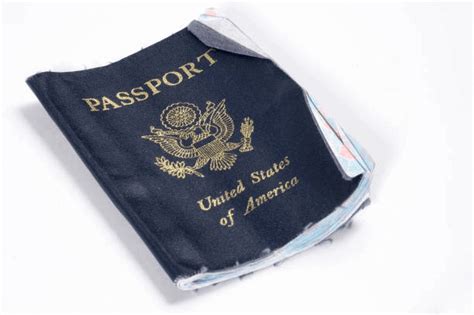 How To Replace A Damaged Passport That Got Water Process