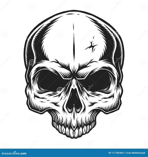 Vintage Skull Template Stock Vector Illustration Of Skeleton 117785465