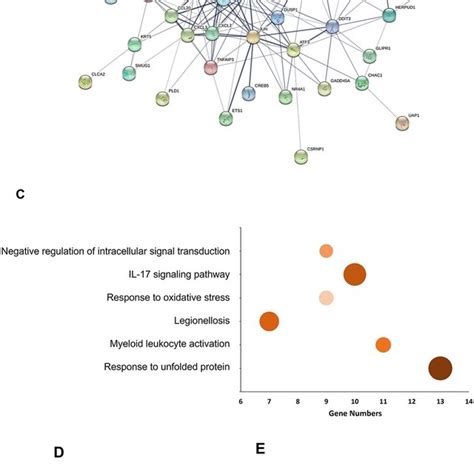 Mrna Microarray Analysis Was Used To Identify Differentially Expression Download Scientific