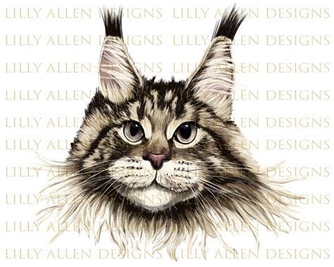 Maine Coon Cat Face Png Cat Png Coon Cat Sublimation Etsy