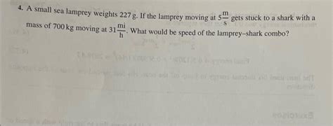 Solved 4. A small sea lamprey weights 227 g. If the lamprey | Chegg.com