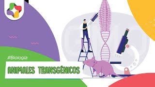 Qué son los animales transgénicos Biología Educatina Doovi