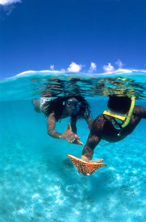 Best snorkeling spots in the caribbean – Artofit