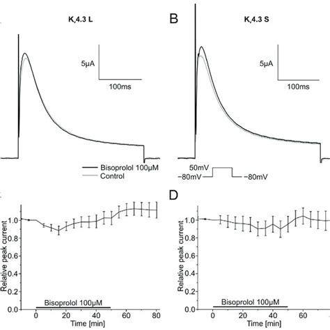 Effects of bisoprolol 100 µM on Kv4 3 isoforms A B Representative