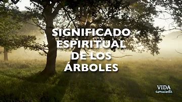 Hojas Significado Espiritual Y Simbolismo Ame Jumelle