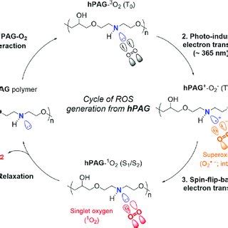 Plausible Mechanism Of O Generation Via Spin Flip Based Electron