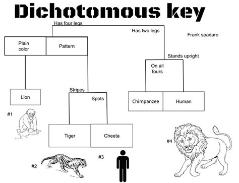 Dichotomous Key Maker