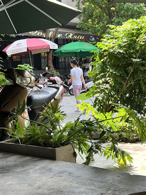 No sex Phía sau Page 6 VOZ