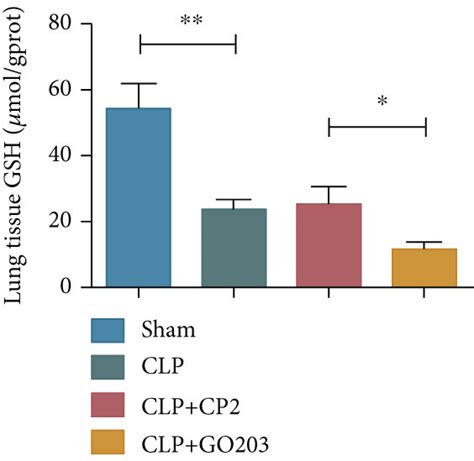 Inhibiting Muc Triggered Ferroptosis In Lung Tissues And Alveolar