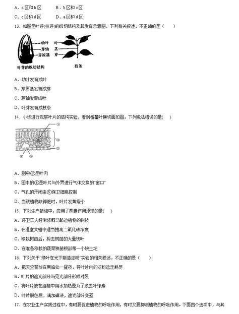 2019 2020学年七年级上学期湖北省孝感市云梦县期末生物试题（原卷 解析卷） 教习网 试卷下载