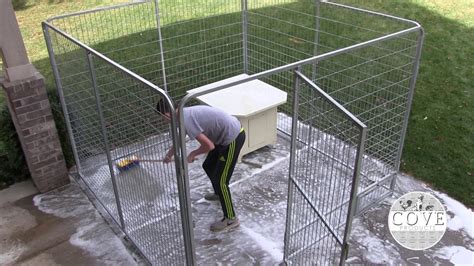 Dog Kennel Cleaning Protocol Youtube