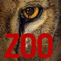 Zoo - Watch on Paramount Plus