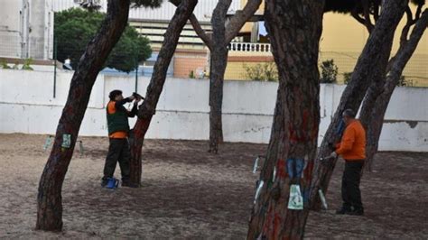 Punta Umbría pone en marcha un plan de choque para defenserse de la