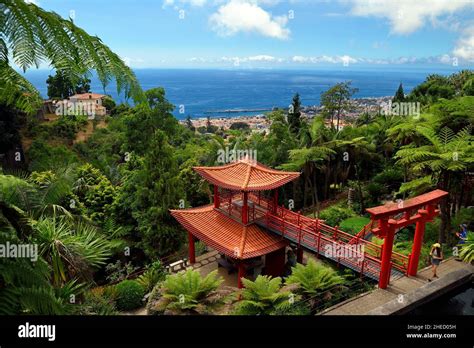 Portugal Madeira Island Funchal The Monte Palace Tropical Garden