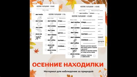 Осенние находилки. - YouTube