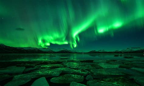 places    northern lights musement