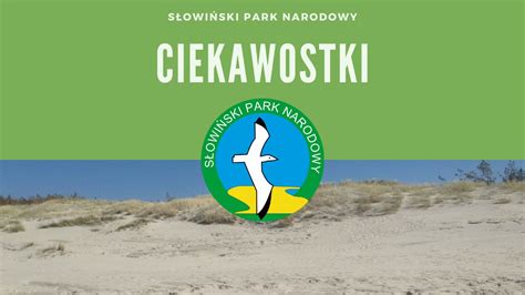 S Owi Ski Park Narodowy S Owi Ski Park Narodowy Ciekawostki