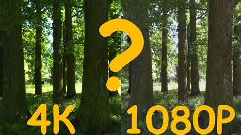 4K Против 1080p - Xiaomi MiJia 4K В КАКОМ КАЧЕСТВЕ СНИМАТЬ? - YouTube