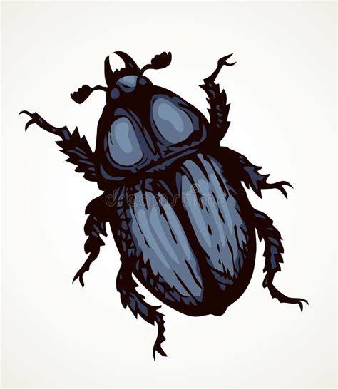 Chafer Vector Drawing Of A Big Beetle Stock Vector Illustration Of