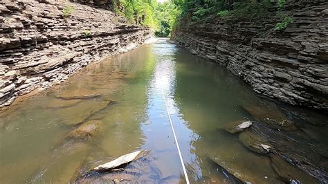 Bass Fishing A Stunning Crystal Clear Creek In Middle Tennessee Youtube