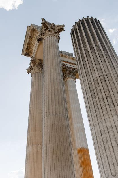 Arquitectura Antigua Griega Romana Grandes Columnas Fauna Foto Premium