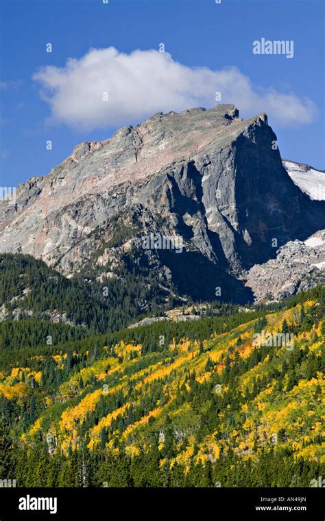 Fall colors in Rocky mountains national park, Colorado Stock Photo - Alamy