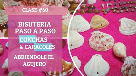 Several Different Types Of Seashells On A Pink Background With The