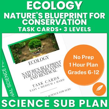 Ecology Habitats Biomes Ecosystems Food Chains Webs No Prep Task Cards