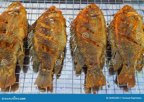 Pescados Fritos De La Tilapia Foto De Archivo Imagen De Nutritivo