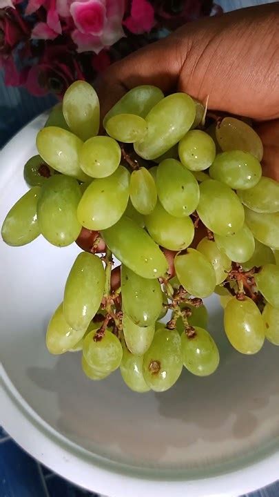 Aapne avi tak try kiya ki nae😋instant grapes juice 🤗#shorts #ytshorts # ...