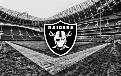 Raiders Computer Background