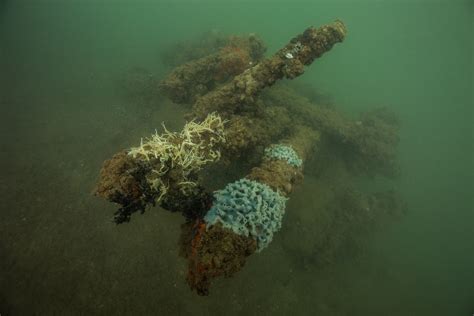 Remembering the Fallen – Diving the Wrecks of the Pearl Harbor Memorial ...