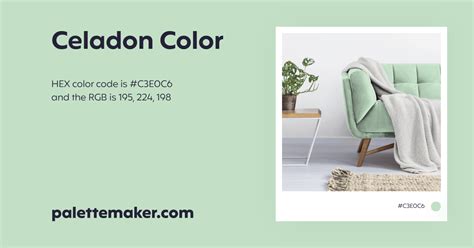 Celadon Color - HEX #C3E0C6 Meaning and Live Previews - PaletteMaker