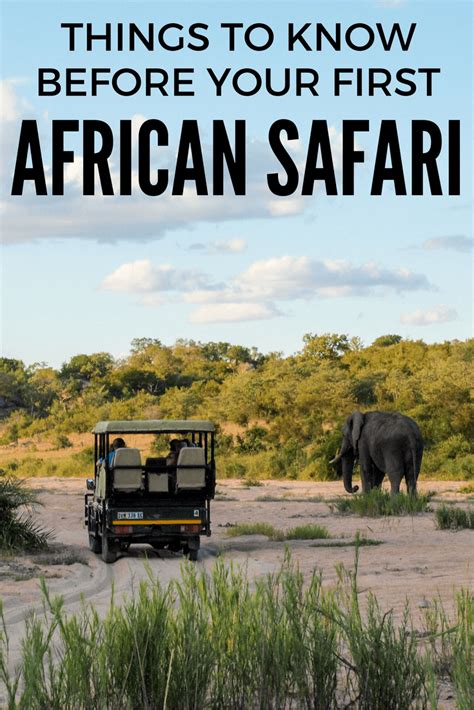 8 Things To Know Before Your First African Safari Artofit