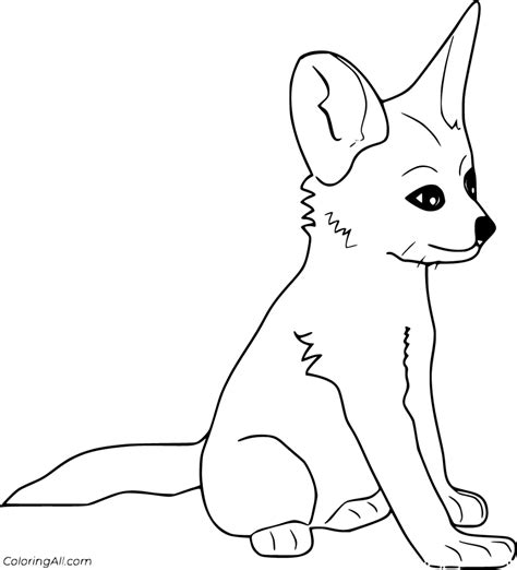 31 Free Printable Fennec Fox Coloring Pages In Vector Format Easy To