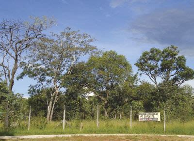 Parque Das Sucupiras Folha Do Meio Ambiente