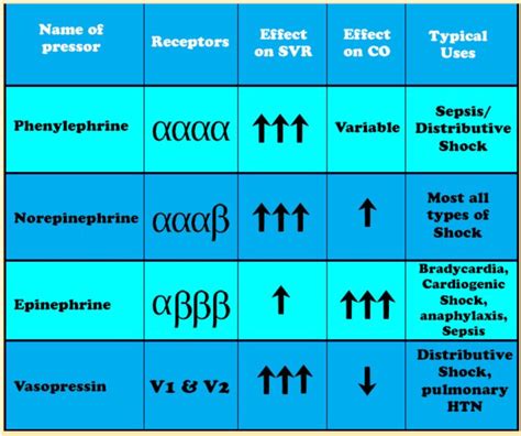 Vasopressors For Nurses Criticalcarenow