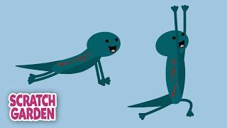 Salamander Yoga - Now with A PUPPY! | 5-minute Yoga Break | Scratch ...