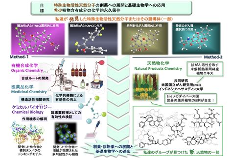 天然分子薬化学｜創薬科学コース｜研究｜金沢大学 医薬保健学域 医薬科学類