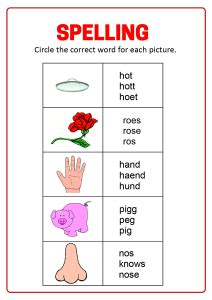 Spelling Circle The Correct Word Worksheet For First Second Grade