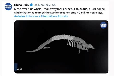 Perucetus Colossus As Reaccion La Prensa Mundial Ante Fabuloso